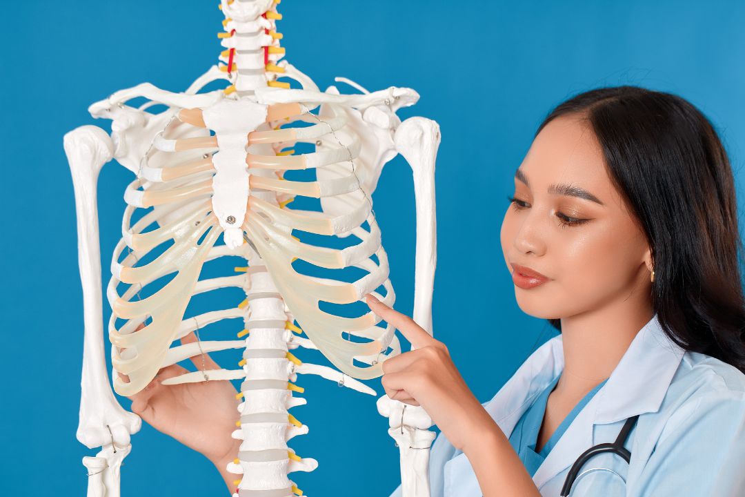 How Chiropractic Care Helps Heal Rib and Thoracic Injuries After Car Accidents